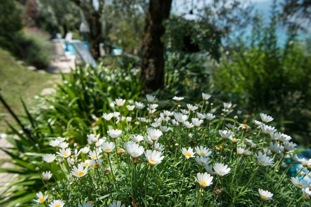 Villa Malcesine Esterno foto